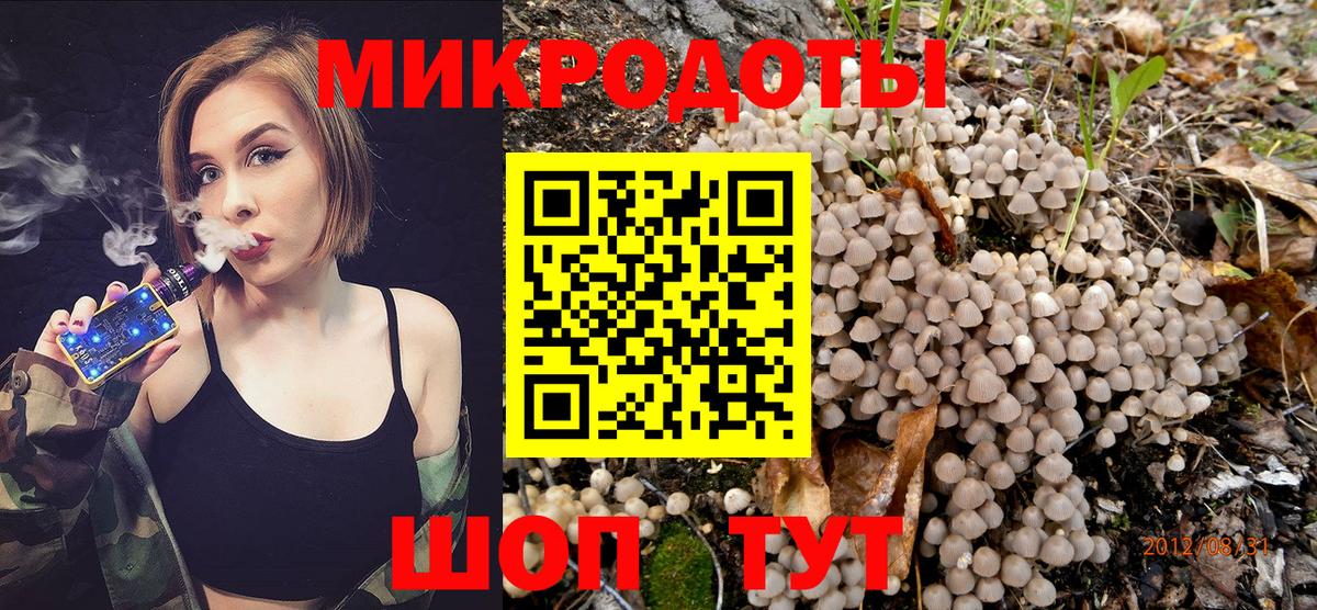 Галлюциногенные грибы мицелий  Вход с VPN  Лабинск  Галлюциногенные грибы GOLDEN TEACHER 